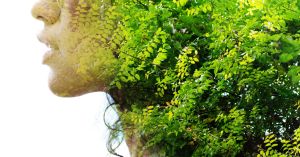 When Winter Finally Turns: A Deeper Way of Welcoming Spring