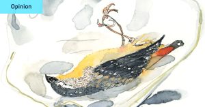 A little bird told me a lot about my father. Let’s hope Mum never knows