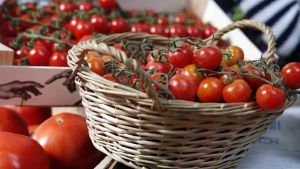 ¿Se ha almacenado bien este tomate?