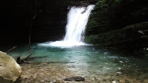 Un’estate immersi nella natura. Ingressi e regole per l’Orrido di Botri