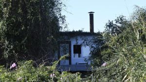 ¿Justicia para Salma?