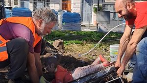 I custodi di piazza Piave. Un restauro per i 