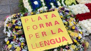 Ens poden dir «no te entiendo»? Sí!