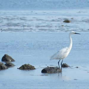 O ciclo do agora começa quando você solta