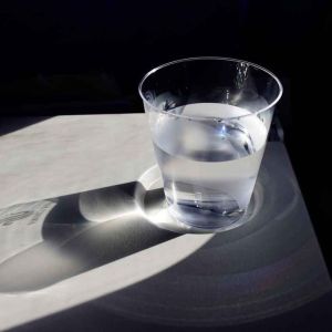 Intestino é o nosso segundo cérebro e chave do bem-estar