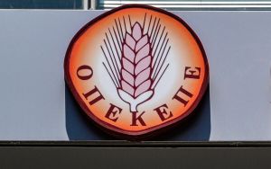 Πελατειακές σχέσεις και δίκαιο του ισχυρού