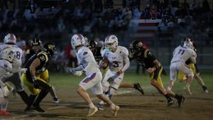 Aquile in casa dei Frogs Legnano