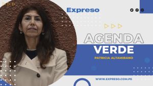 Crisis ambiental por alza de energía