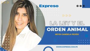 Rescate animal no es espectáculo: decisiones irresponsables que vulneran la ley