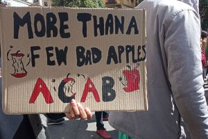 Necesidad de protección y Policía