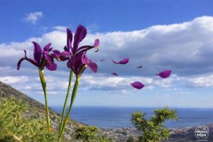 Desde el año 2012 no teníamos esta temperatura media en marzo en Málaga