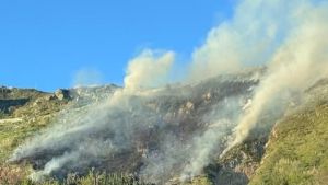 Ischia, domato l'incendio sul Monte Epomeo. La sindaca di Serrara: «Episodi dolosi, è inaccettabile»