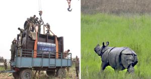 How Dudhwa Tiger Reserve Is Rebuilding Its Rhino Legacy