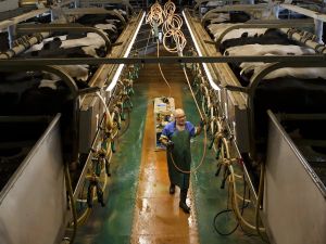 William Watson: Armageddon postponed, now back to dairy quotas and CUSMA