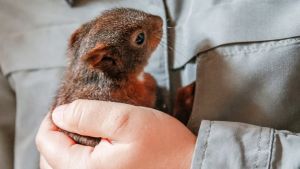 So Sorry—I Was Just Reminded of My Own Mortality