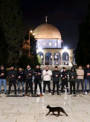 Al-Aqsa Mosque Reopens After 40-Day Israeli Closure