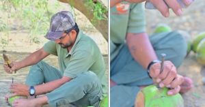 In Barmer’s 50°C Heat, ‘Greenman’ Uses Coconut Shells to Save Birds