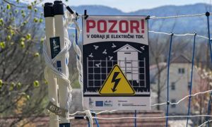 Čebelarska zveza čebelarjem razdelila zaščitno opremo proti medvedu