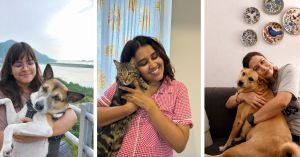 ‘You Found a Home, I Found Mine’: Inside TBI Employees’ Stories With Rescued Pets