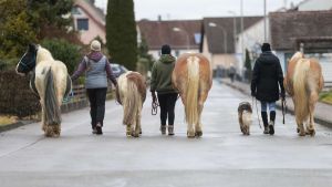 Gesundheit: Hauptsache in Bewegung bleiben