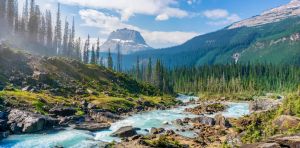 Les neurosciences permettent de comprendre ce que la nature provoque dans notre cerveau