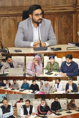 DC Srinagar chairs District Telecom Committee Meeting