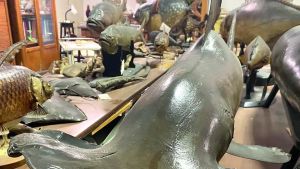 A Treviso c’è un tesoro da riaprire: ecco i reperti invisibili della Collezione Scarpa