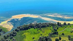 Algenblüten im Bodensee: Bürgerinitiative warnt vor wachsendem Problem im Schussendelta