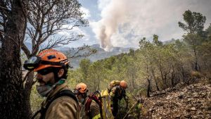 El 80% de espacios naturales gestionados por el Govern no tienen plan de prevención de incendios