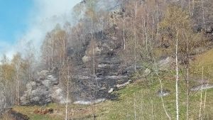 Le fiamme inceneriscono boschi e pascoli a Frassinetto