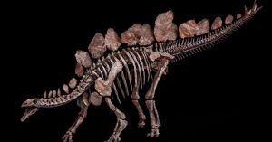 Por que as crianças são fascinadas por dinossauros?