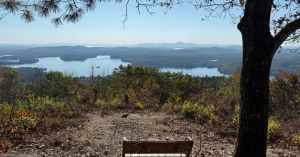 The Voice You Stopped Hearing