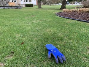 GARDEN CLIPPINGS: Topsoil and grass seed blend can repair damaged lawns