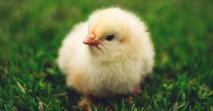 When Body Image and Menopause Mix