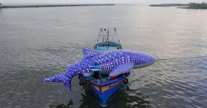 How India’s Coastal Communities Came Together To Help Save 1029 Whale Sharks