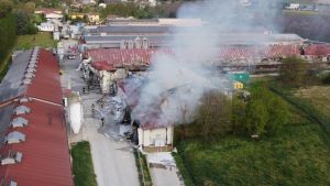 L’inferno all’alba. Distrutti due capannoni dell’allevamento avicolo. Fileni di San Colombano