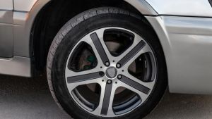 Mientras tanto, el mundo