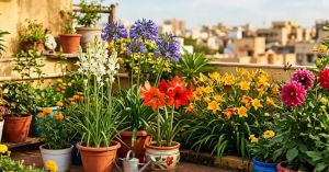 Even in Harsh Heat, These Simple Changes Help Gardens Stay Green