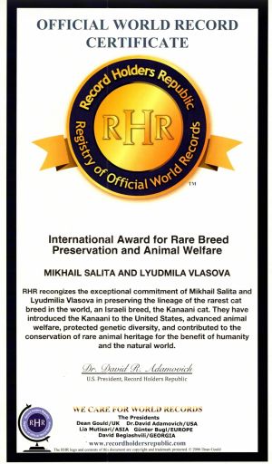 Kanaani: The Legendary Cat of Israel Returns