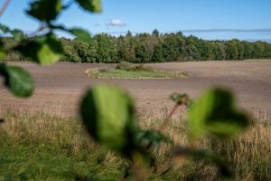 Nu må politikerne snart finde modet til at koble klima- og naturpolitik til virkeligheden