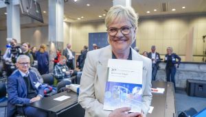 Kjell Werners analyse er som Peer Gynts løk