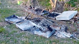 Mareno, vandali incendiano le arnie: uccise migliaia di api