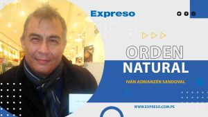 Reflexiones sobre la educación