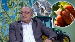 Bahar aylarında büyük tehlike! Önümüzdeki günlere dikkat...