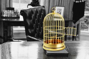 An unpardonable abuse of presidential power with only one solution