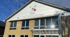 Firm 'under new ownership' after last company was liquidated owing over £800k