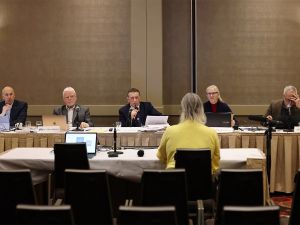 Opinion: Electoral boundary shenanigans imported from U.S.