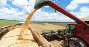 Agro pressionado entre juros altos e preços menores