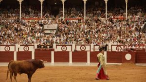 El parlamento asturiano retomará después de un año la tramitación de la ley de Espectáculos, que prohibiría a menores en los toros