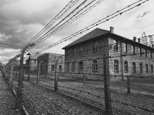 The Indefinite Article of Erasure: From ‘The Holocaust’ to ‘a holocaust’